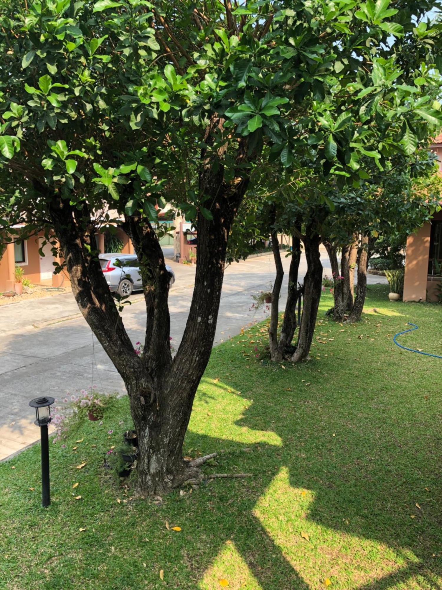Areena Resort And Hotel Uttaradit Kültér fotó